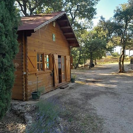 La Cabane En Bois Tourves Экстерьер фото
