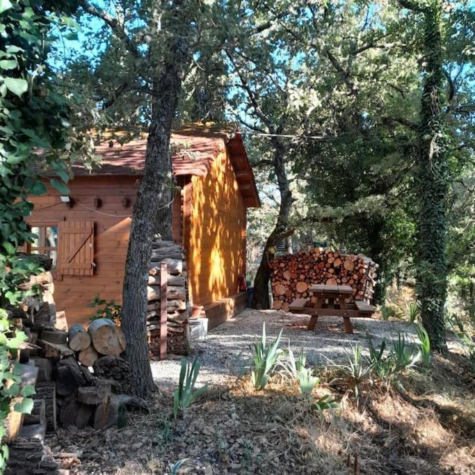 La Cabane En Bois Tourves Экстерьер фото