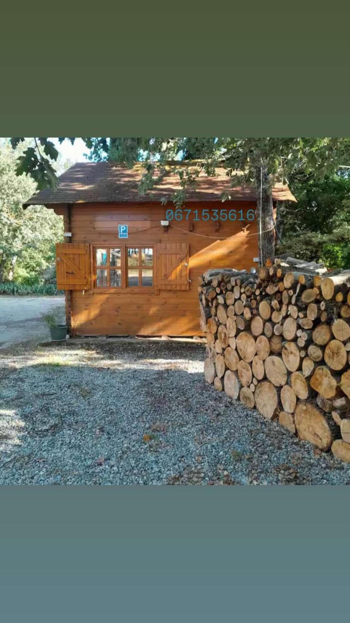 La Cabane En Bois Tourves Экстерьер фото
